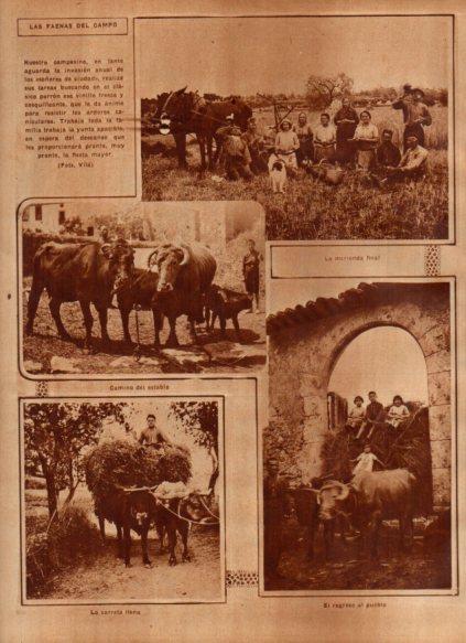 LAMINA V24481: Faenas del campo