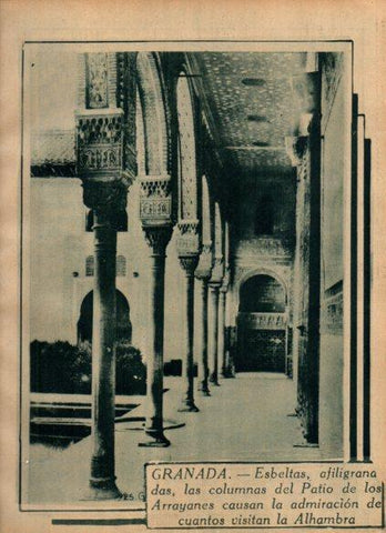 LAMINA V24495: Columnas del Patio de los Arrayanes, Granada