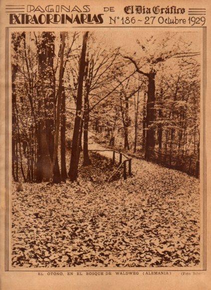 LAMINA V24563: Bosque de Waldweg, Alemania
