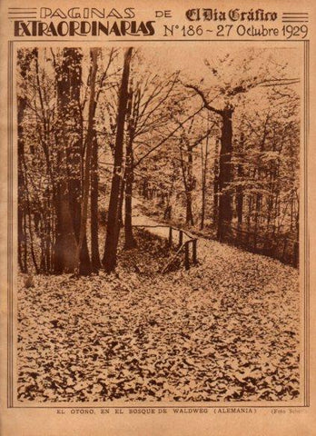 LAMINA V24563: Bosque de Waldweg, Alemania