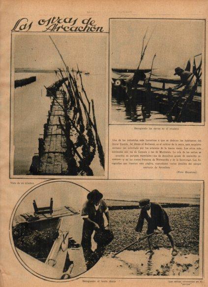 LAMINA V24564: Criaderos de ostras en Arcachon 