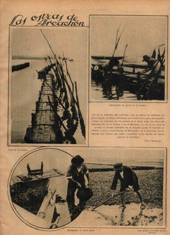 LAMINA V24564: Criaderos de ostras en Arcachon 