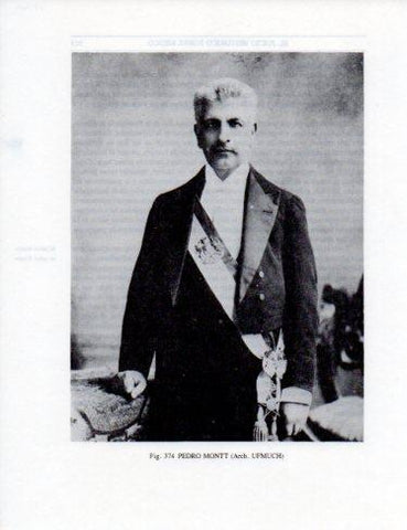 LAMINA V25400: Pedro Montt