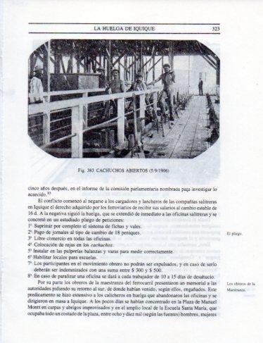 LAMINA V25405: Cachuchos abiertos en Chile
