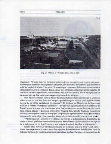 LAMINA V25262: Talca a finales del siglo XIX, Chile