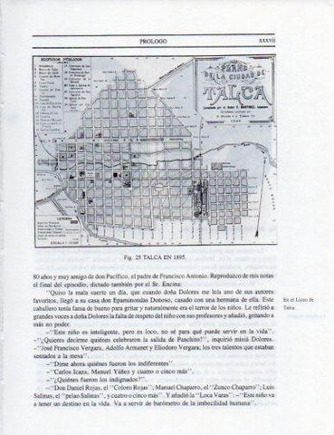 LAMINA V25263: Plano de Talca en 1895, Chile