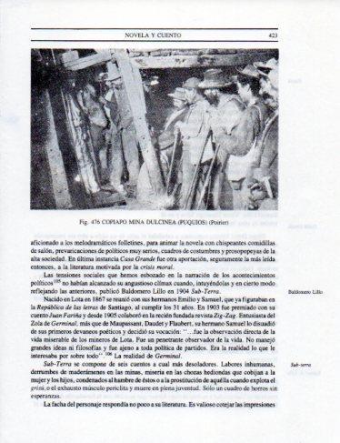 LAMINA V25446: Interio Mina Dulceida en Puquios
