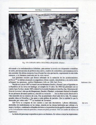 LAMINA V25446: Interio Mina Dulceida en Puquios