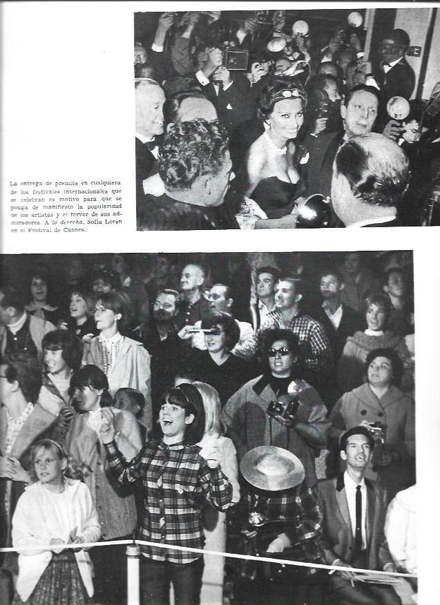 LAMINA 34073: Sofia Loren en el Festival de Cannes