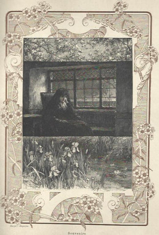 LAMINA 33813: Souvenirs