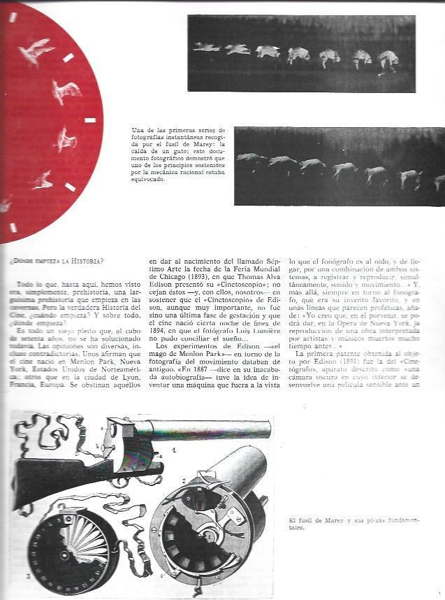 LAMINA 33832: El fusil de Marey 