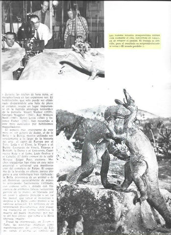 LAMINA 34004: El mundo perdido