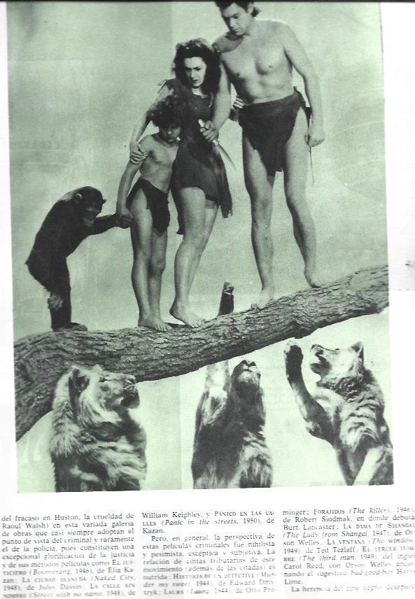 LAMINA 34018: Escena de Tarzan