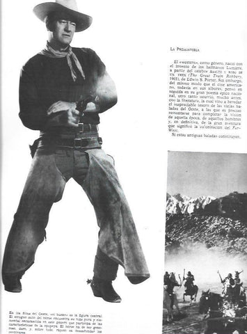 LAMINA 33920: John Wayne