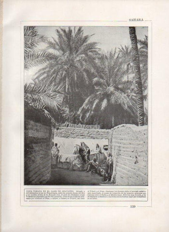 LAMINA V27828: Oasis de Ghadames