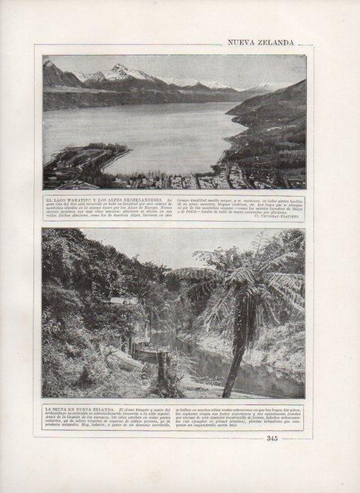 LAMINA V27878: Lago Wakatipu y la Selva en Nueva Zelanda