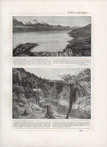 LAMINA V27878: Lago Wakatipu y la Selva en Nueva Zelanda
