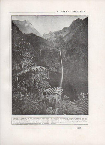 LAMINA V27880: Paisaje en Tahiti
