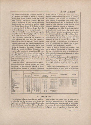 LAMINA V27788: Cultivos de la India en 1925 y 1926