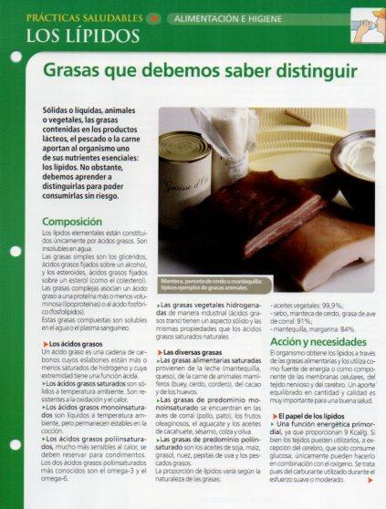 LAMINA V28626: Los lipidos