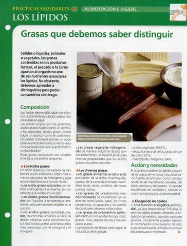 LAMINA V28626: Los lipidos