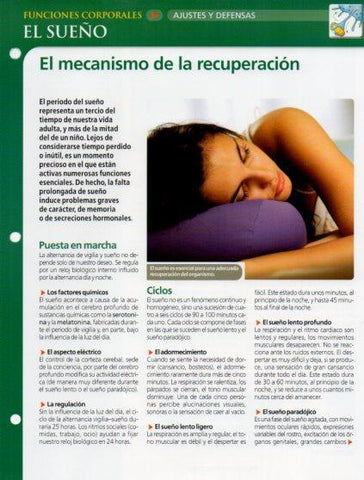 LAMINA V28632: El sueño