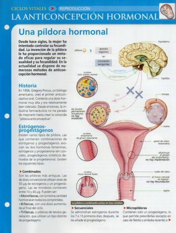 LAMINA V28649: La anticoncepcion hormonal