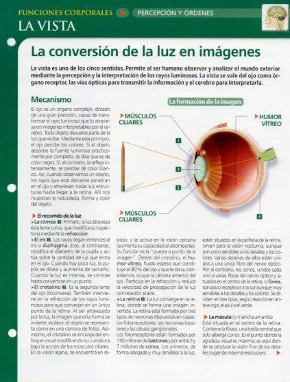 LAMINA V28585: La Vista