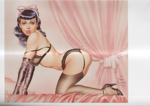 Lamina Art of Dave Stevens: Bettie's Boudoir