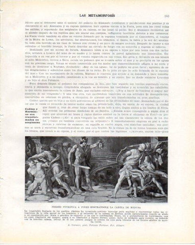 LAMINA V34288: Perseo petrifica a Fineo mostrandole la cabeza de Medusa por A. Caracci