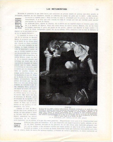 LAMINA V34284: Narciso por Caravaggio