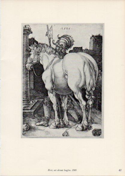 LAMINA V35652: Albrecht Durer. Hest, set skraat bagfra