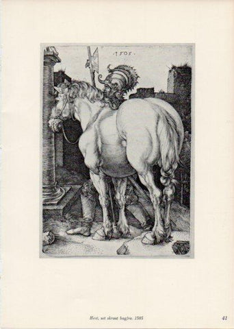 LAMINA V35652: Albrecht Durer. Hest, set skraat bagfra