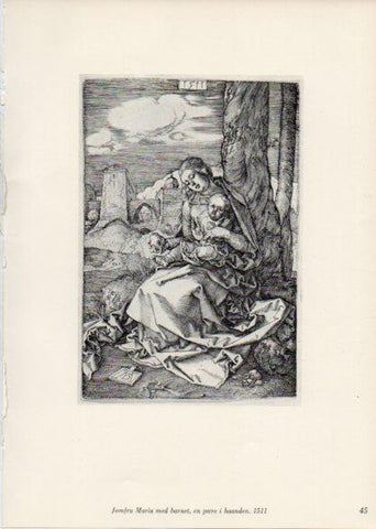 LAMINA V35654: Albrecht Durer. Jomfru Maria med barnet, en poere i haanden