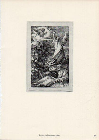 LAMINA V35656: Albrecht Durer. Kristus i Getsemane