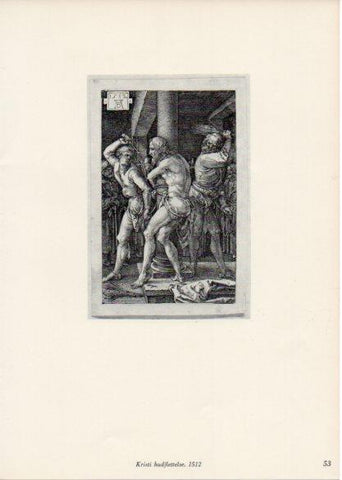 LAMINA V35658: Albrecht Durer. Kristi hudflettelse