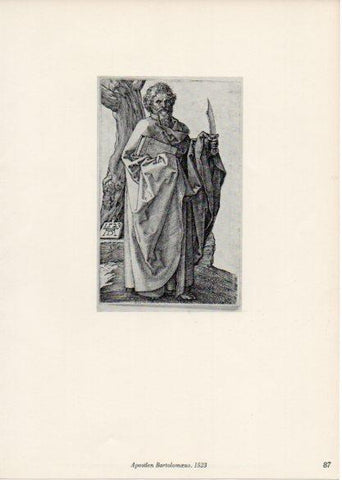 LAMINA V35675: Albrecht Durer. Apostlen Bartolomoeus