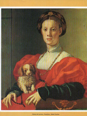 LAMINA V35734: Dama del perrito por Pontormo