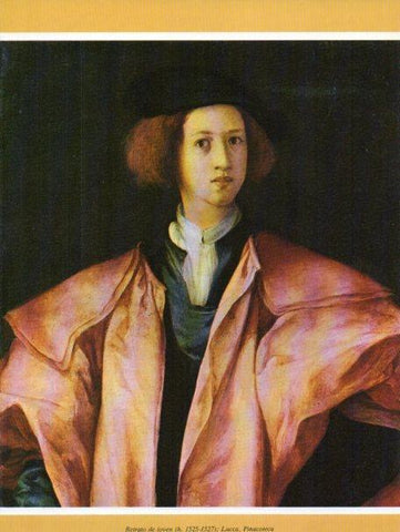 LAMINA V35736: Retrato de joven por Pontormo