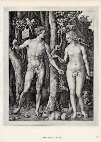 LAMINA V35650: Albrecht Durer. Adam og Eva