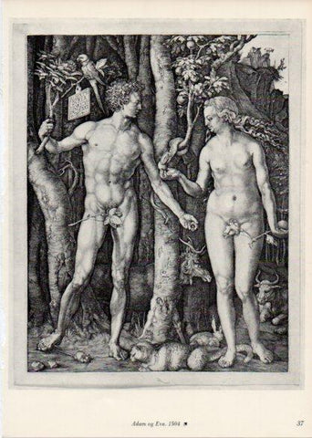 LAMINA V35650: Albrecht Durer. Adam og Eva