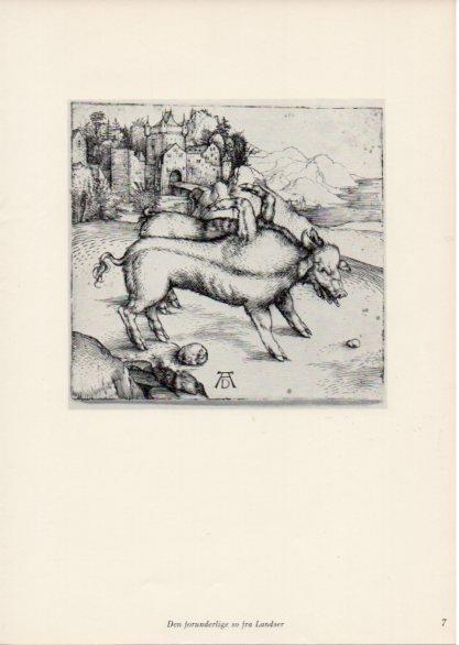 LAMINA V35635: Albrecht Durer. Den forunderlige so fra Landser