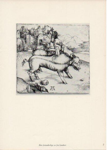 LAMINA V35635: Albrecht Durer. Den forunderlige so fra Landser