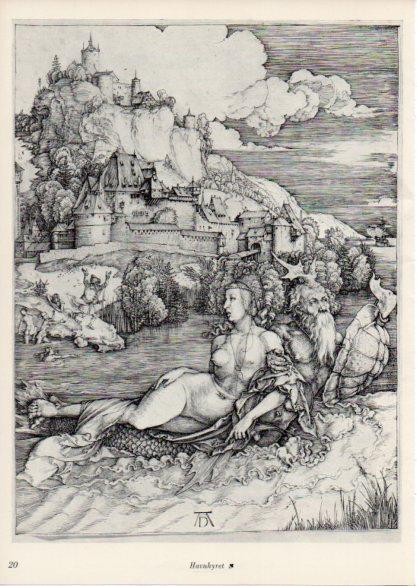 LAMINA V35641: Albrecht Durer. Havuhyret