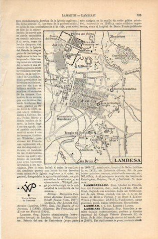 LAMINA V36119: Plano de Lambesa