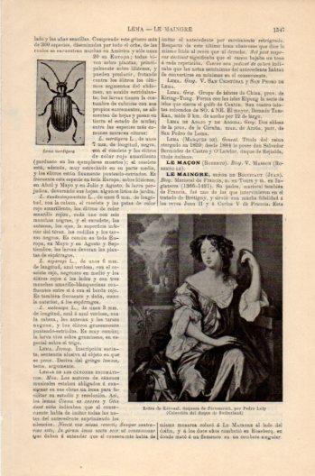 LAMINA V36258: Luisa de Keronal por Pedro Lely