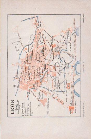 LAMINA V36242: Plano de leon