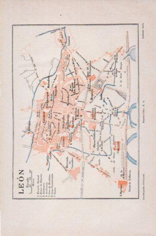 LAMINA V36242: Plano de leon