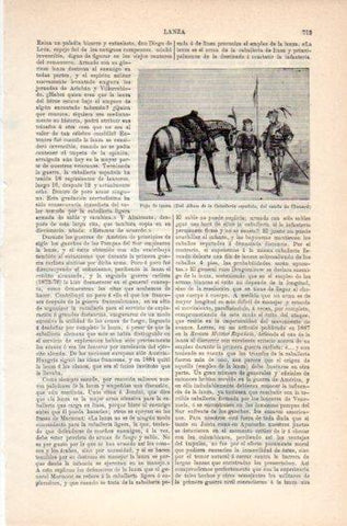 LAMINA V36181: Paje de lanza Caballeria española
