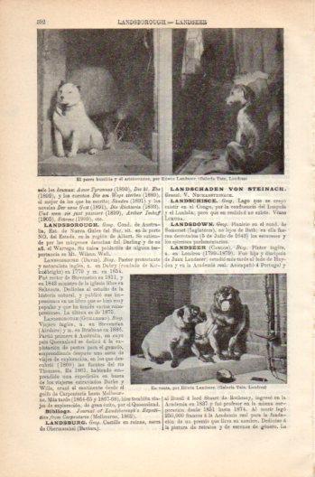 LAMINA V36169: Obras por Edwin Landseer